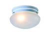 Hardware House Ceiling Light Fixture