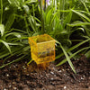 Taylor 2-in-1 Rain and Sprinkler Gauge