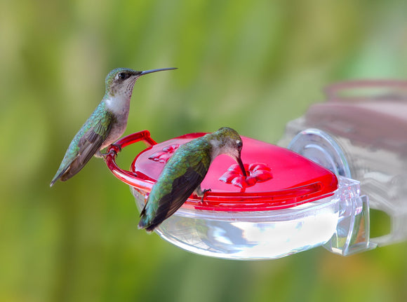 Aspects Gem Hummingbird Window Feeder