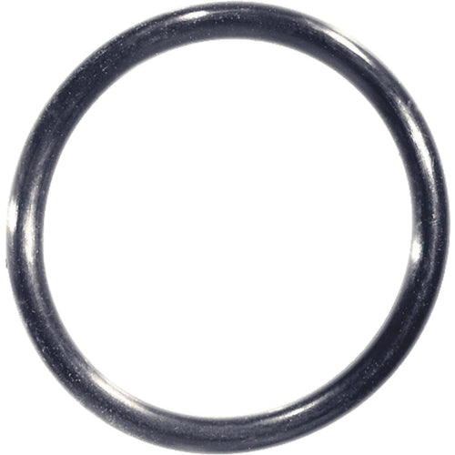 Danco #98 1-7/16 In. x 1-11/16 In. O-Ring (20 Ct.)