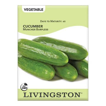 Livingston Cucumber Muncher Burpless