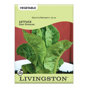 Garden Seed
Livingston Lettuce Baby Romaine