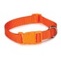 Casual Canine Nylon Dog Collars 14-20 in, Orange (14-20