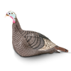 Hunters Specialties Strut-Lite Hen Decoy