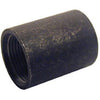 Pipe Fitting, Black Merch Coupling, 2-In.