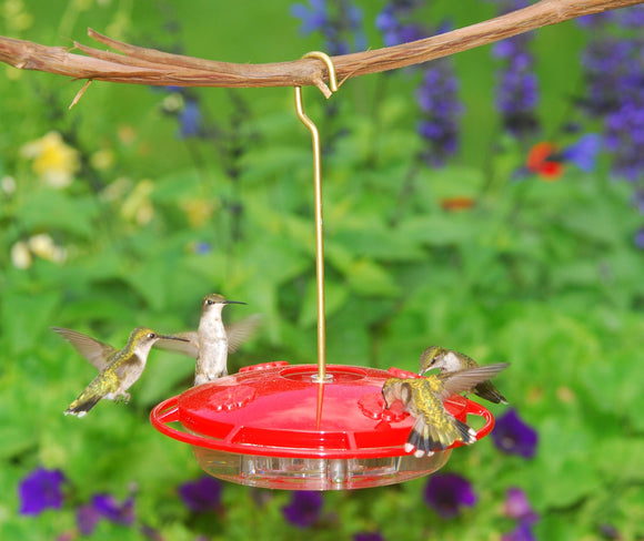 Aspects HummZinger Ultra With Nectar Guard Hummingbird Feeder (12 oz)