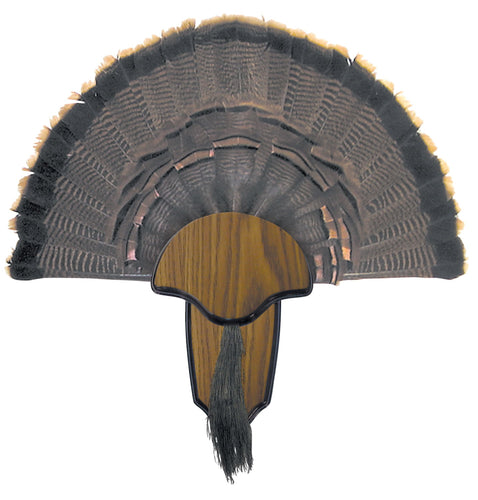 Hunters Specialties 00849 Turkey Tail/Beard Mount