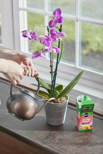 Miracle-Gro® Water Soluble Orchid Food (8 oz)