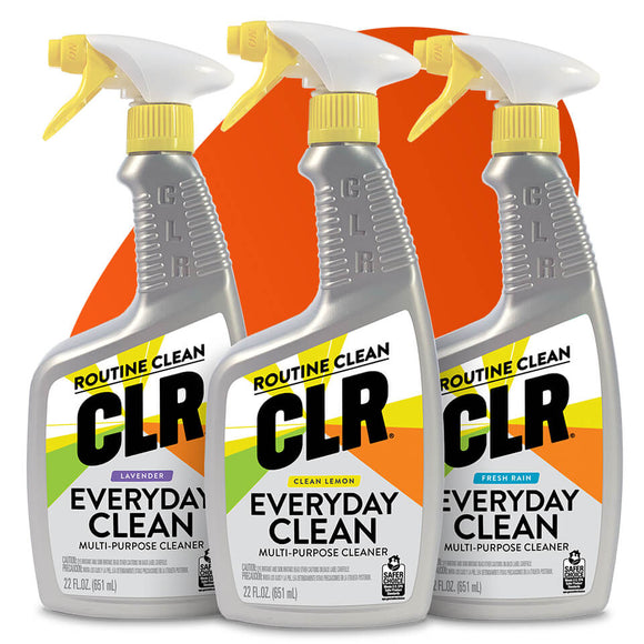 CLR® Everyday Clean 22 Oz. (22 oz)