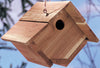 CEDAR WREN   HOUSE