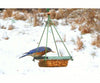 Songbird Essentials Hanging Mealworm Dish Feeder