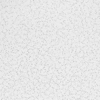 Armstrong Ceilings Random Textured 24-in x 48-in Panels