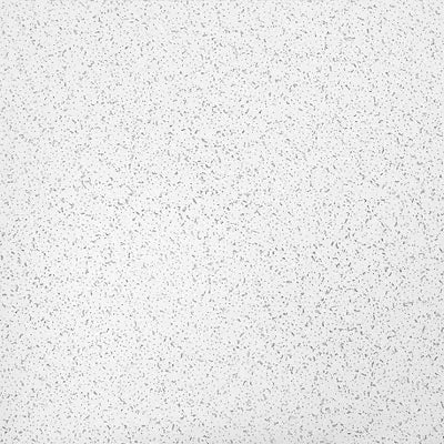 Armstrong Ceilings Random Textured 24-in x 24-in Light Commercial Panels