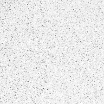 Armstrong Ceilings Textured 24-in x 48-in Ceiling Panels